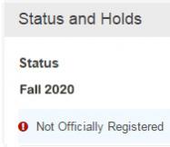 Status and Holds Fall 2020 - Not Officially Registered